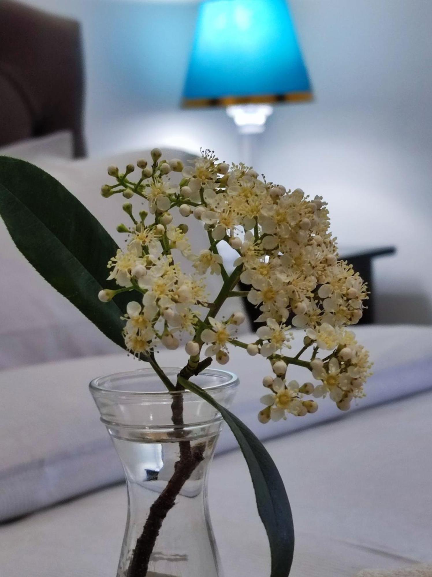 Consoli Home โรม ภายนอก รูปภาพ