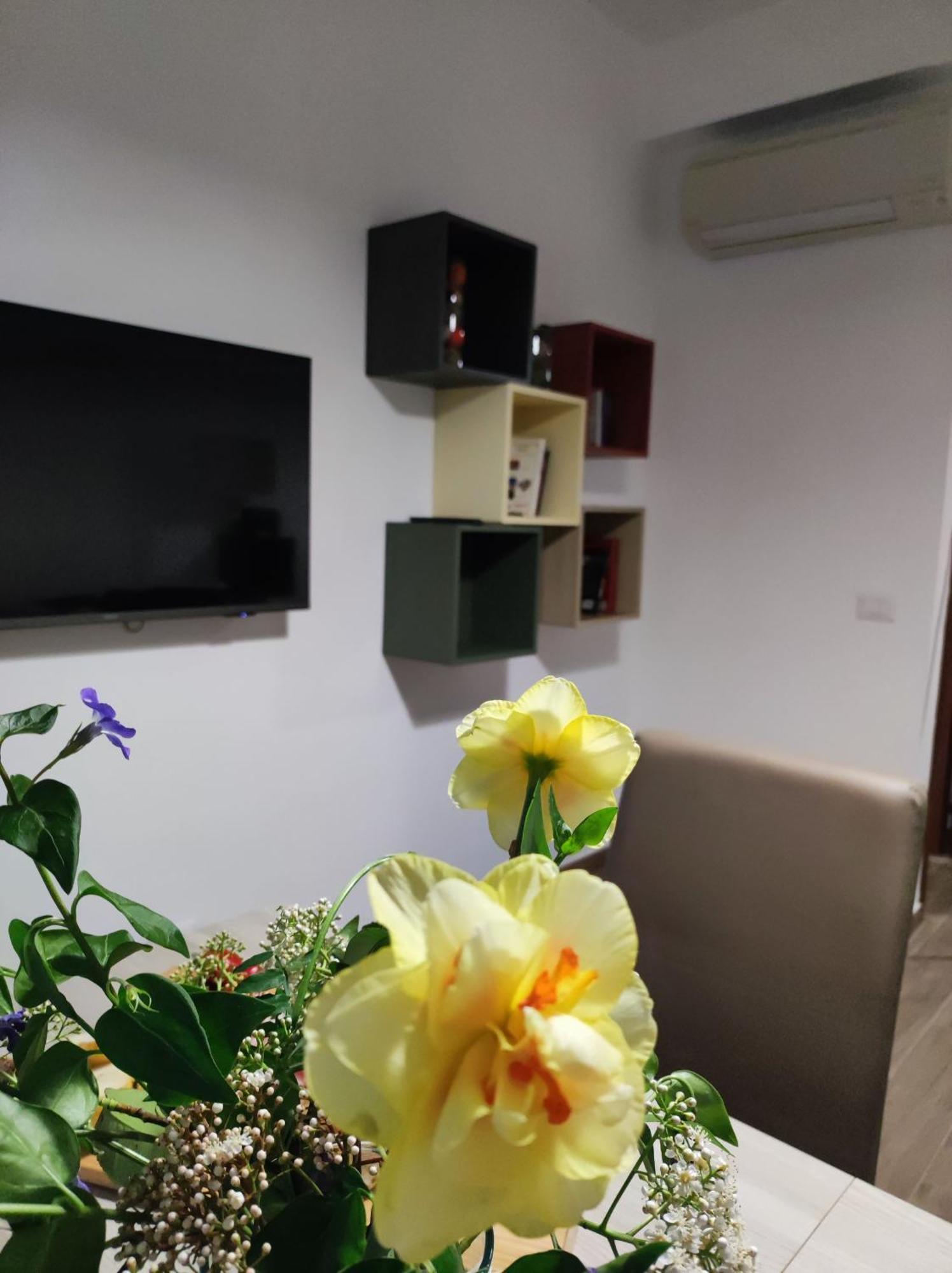Consoli Home โรม ภายนอก รูปภาพ